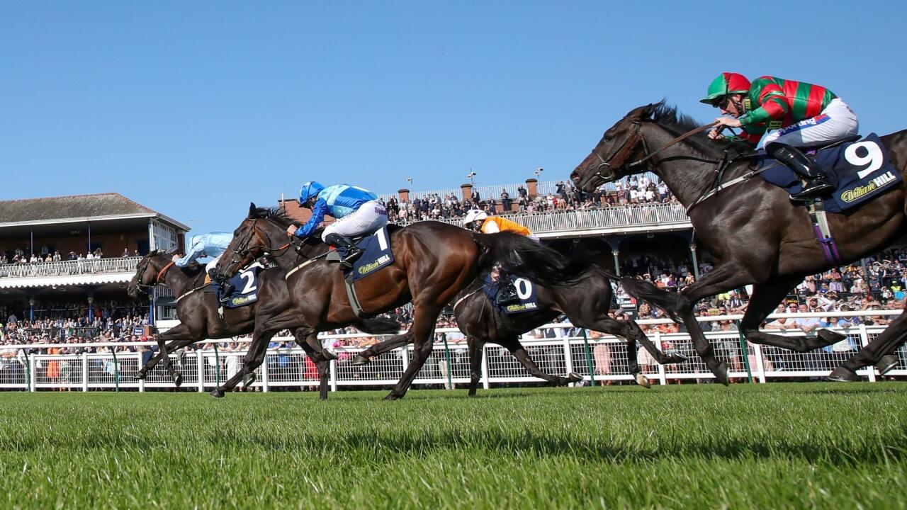 French horse racing betting rules of blackjack ukforex reviews on garcinia
